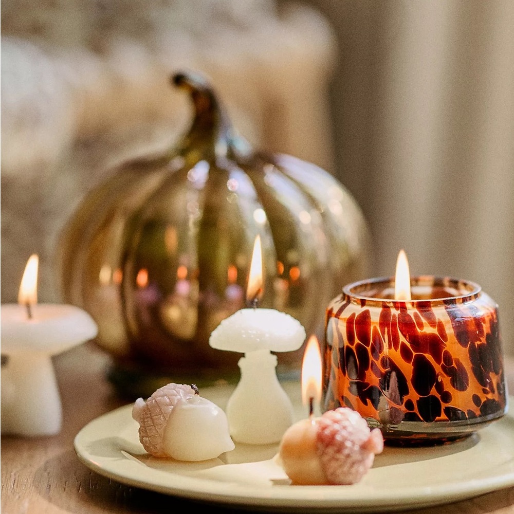 NIB ANTHRO MUSHROOM SHAPED CANDLES